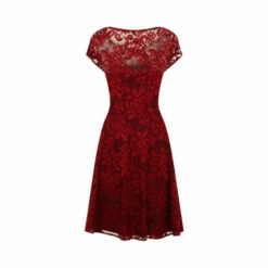 Hot Squash HotSquash Red Lace Fit And Flare Dress -HotSquash Shop unnamed file 51